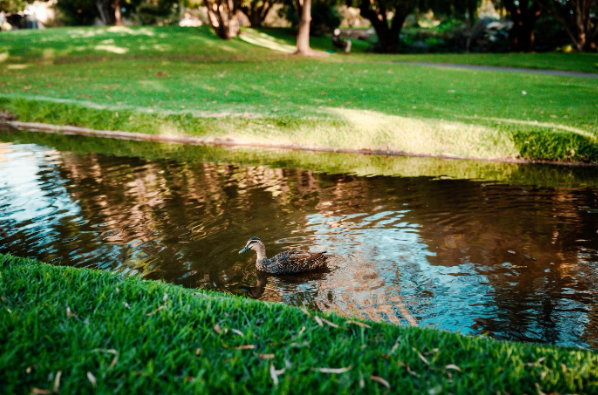 Six Major Benefits of Pond Remediation Six Major Benefits of Pond Remediation